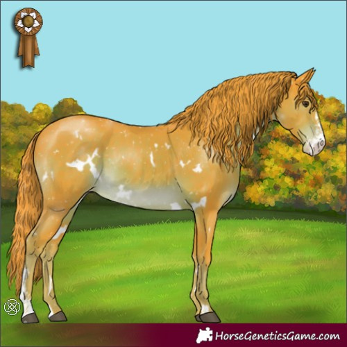 Horse Color:Watercolor White Spotted Liver Chestnut Sabino Appaloosa Rabicano