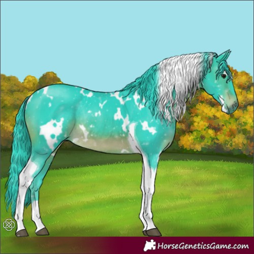 Horse Color:Watercolor White Spotted Brown Tobiano Rabicano