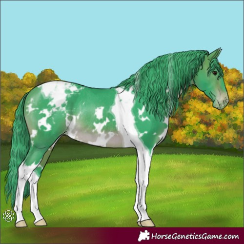 Horse Color:Watercolor White Spotted Brown Tobiano Appaloosa Rabicano 