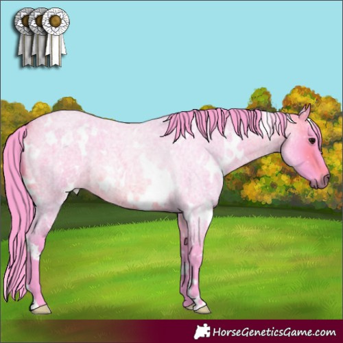 Horse Color:Watercolor White Spotted Brown Roan 