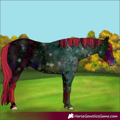 Horse Color:ERROR: UNKNOWN ANOMALY