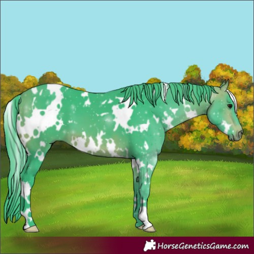 Horse Color:Watercolor White Spotted Bay 