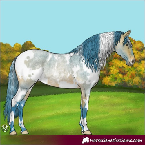 Horse Color:Watercolor White Spotted Bay Roan 