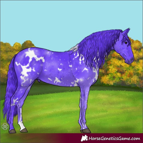 Horse Color:Watercolor White Spotted Black