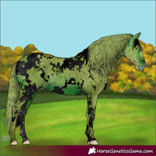 Horse Color:ERROR: UNKNOWN ANOMALY