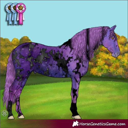 Horse Color:ERROR: UNKNOWN ANOMALY