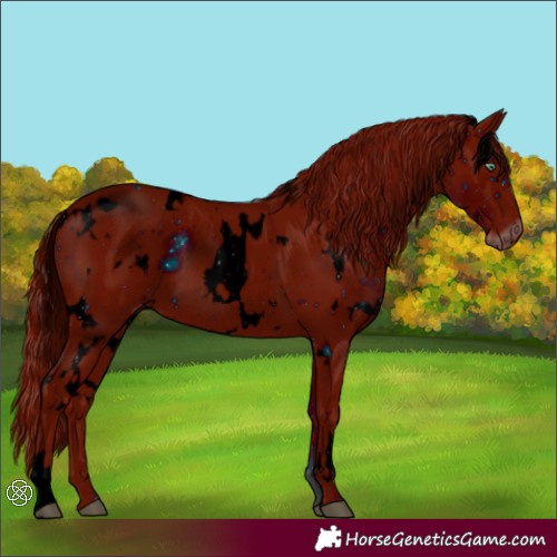 Horse Color:ERROR: UNKNOWN ANOMALY