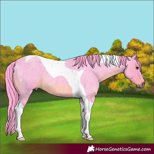 Horse Color:Watercolor Blue Roan Tobiano 