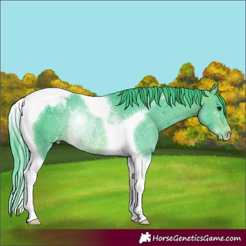 Horse Color:Watercolor Brown Tobiano Appaloosa Rabicano 
