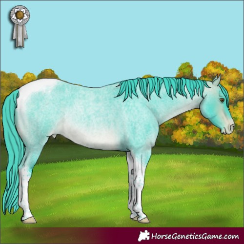 Horse Color:Watercolor Buckskin Roan Tobiano Appaloosa Rabicano