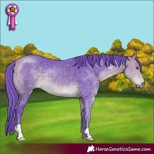 Horse Color:Watercolor Buckskin 