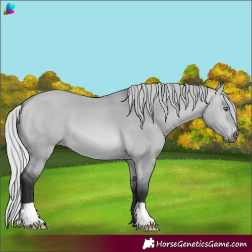 Horse Color:Silver Bay Chinchilla Dun 