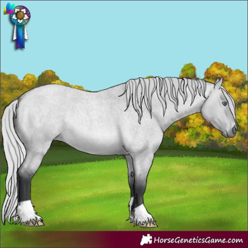 Horse Color:Silver Bay Chinchilla Roan Dun