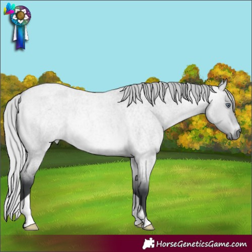 Horse Color:Silver Bay Chinchilla Roan Dun