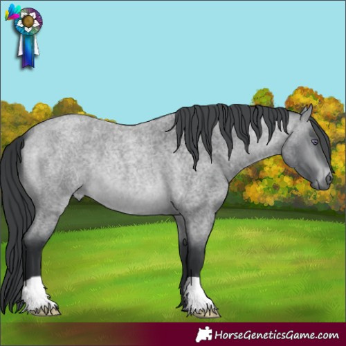 Horse Color:Brown Chinchilla Roan 