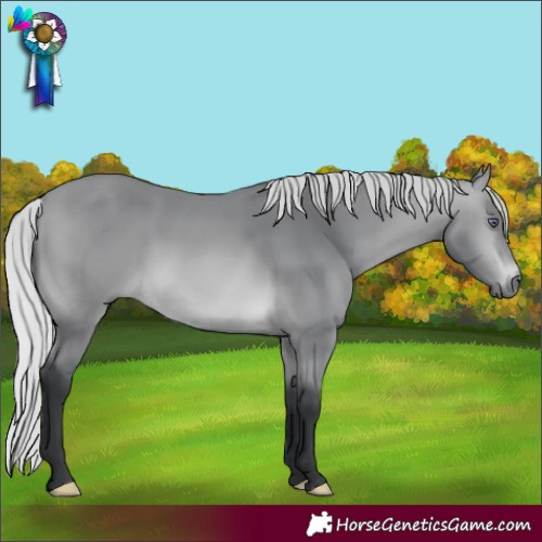 Horse Color:Silver Bay Chinchilla