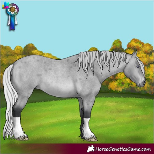 Horse Color:Silver Bay Chinchilla Roan