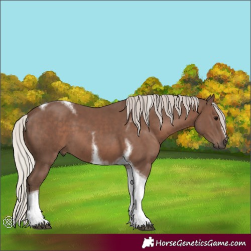 Horse Color:Silver Black Tobiano Frame 