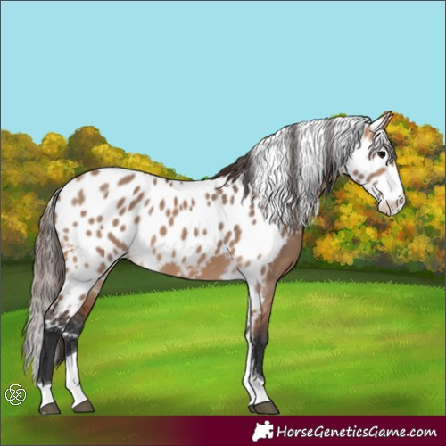 Horse Color:Bay Dun Splash Tobiano Skewed LP Spotted 