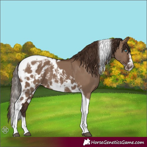 Horse Color:Liver Red Dun Tobiano Frame Skewed LP Spotted 