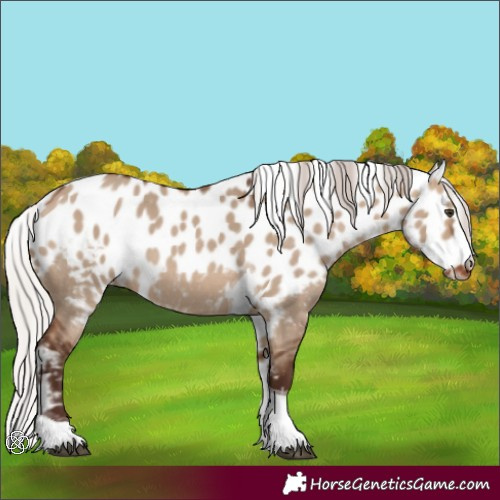 Horse Color:Silver Brown Dun Tobiano Skewed LP Spotted 