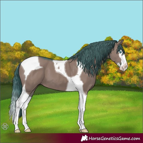 Horse Color:Watercolor Grullo Splash Tobiano