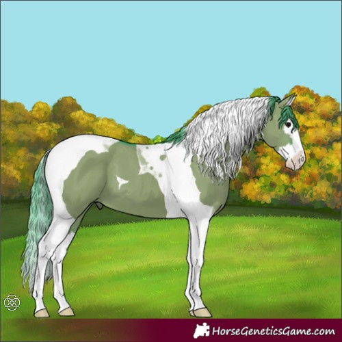 Horse Color:Watercolor Grullo Splash Tobiano