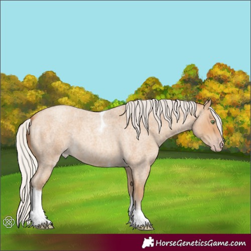 Horse Color:Silver Amber Champagne Roan Tobiano