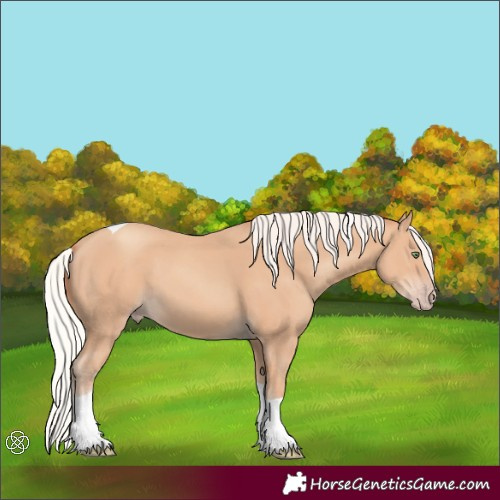 Horse Color:Silver Amber Champagne Tobiano