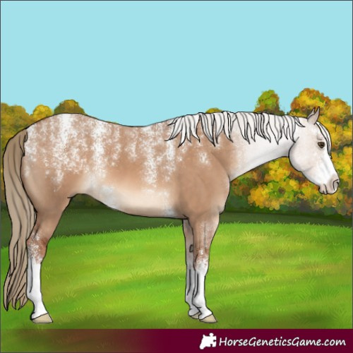 Horse Color:Powder White Red Dun Sabino 