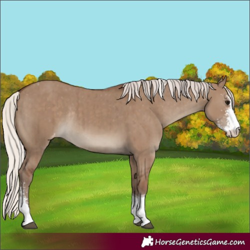 Horse Color:Silver Grullo Sabino Tobiano Varnish Rabicano Brindle 