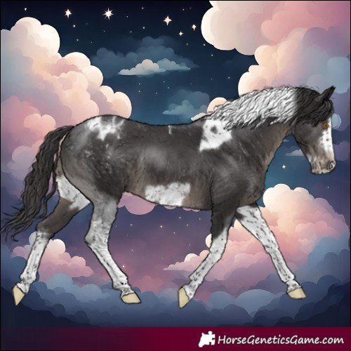 Horse Color:Smoky Black Sabino Tobiano Frame Blanket Rabicano 
