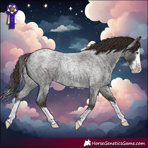 Horse Color:Liver Red Roan Splash