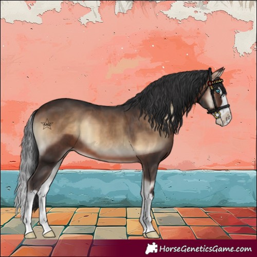 Horse Color:Brown Onyx Splash