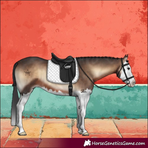 Horse Color:Brown Onyx Splash