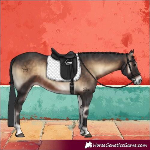 Horse Color:Brown Onyx