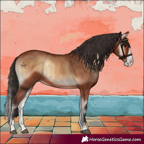 Horse Color:Bay Onyx Splash