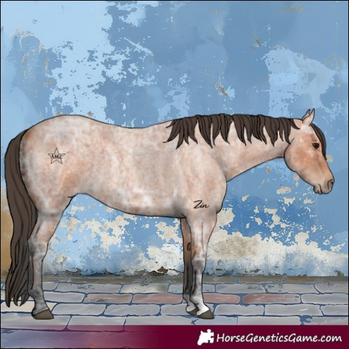 Horse Color:Bay Ice Roan