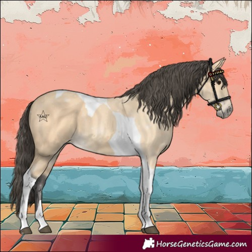 Horse Color:Buckskin Tobiano 