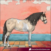 Horse Color:Buckskin Tobiano 