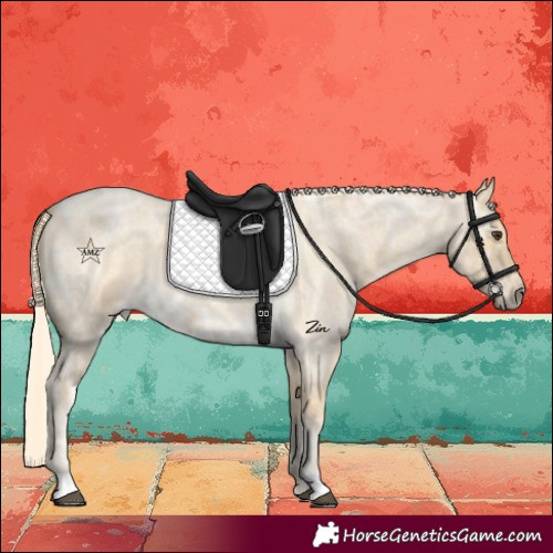 Horse Color:Palomino Ice Roan