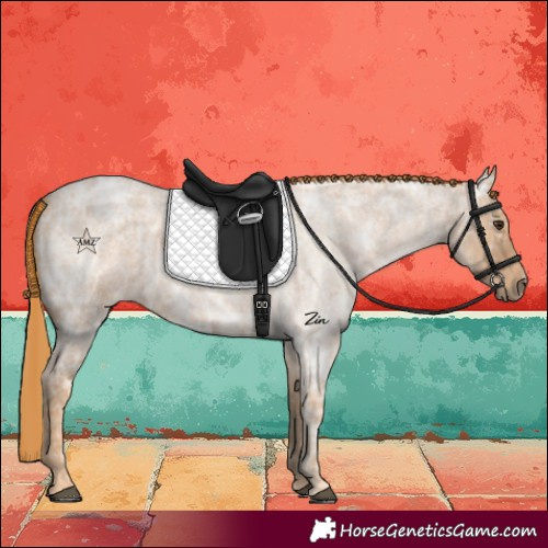 Horse Color:Red Ice Roan 