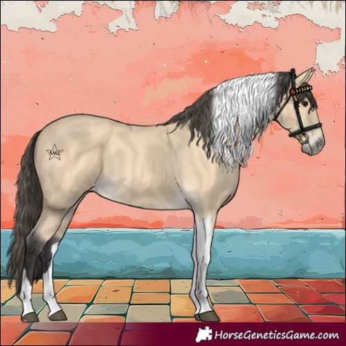 Horse Color:Buckskin Tobiano 