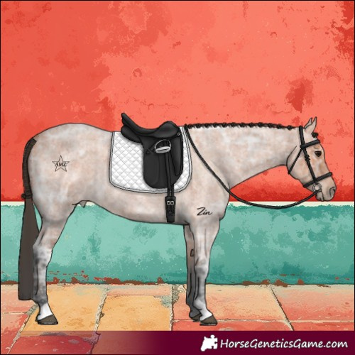 Horse Color:Bay Ice Roan 