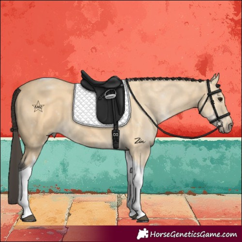 Horse Color:Buckskin Tobiano 