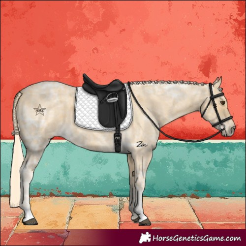 Horse Color:Palomino Ice Roan