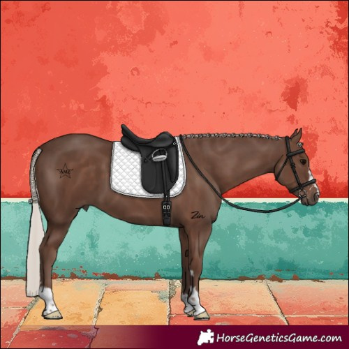 Horse Color:Silver Black 