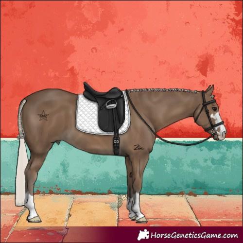 Horse Color:Silver Smoky Black