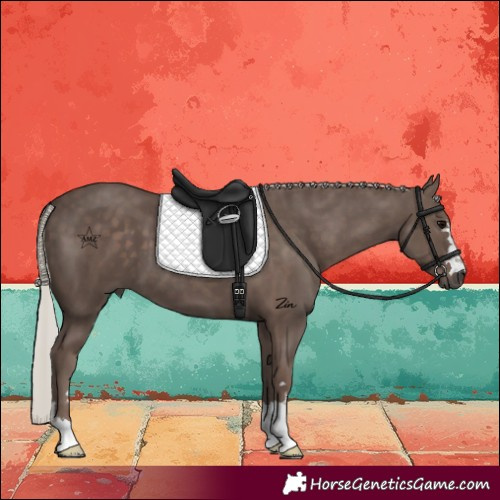 Horse Color:Silver Black