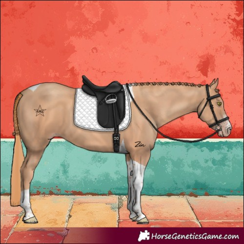 Horse Color:Gold Champagne Sabino Tobiano 